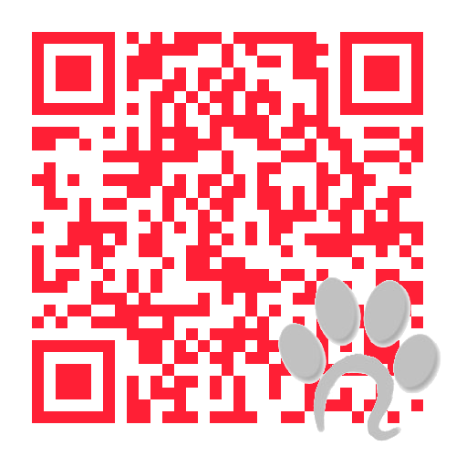 QRCode URL für Produktseite